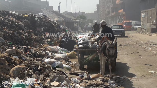 اليوم السابع -11 -2015